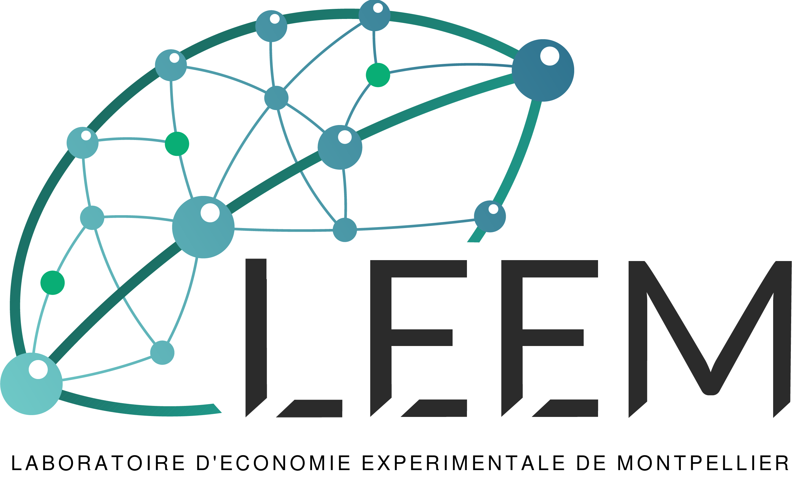 LEEM logo